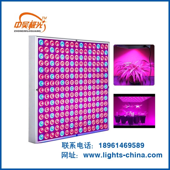 上海LED植物生长灯